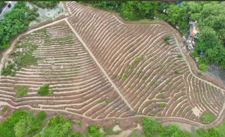Aerial View of Creek